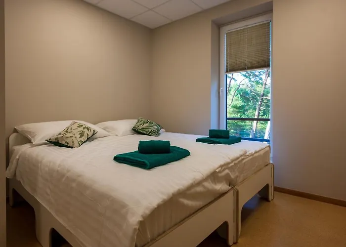 Joesuu * Vaana-Joesuu